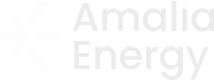 amalia-energy-1.png