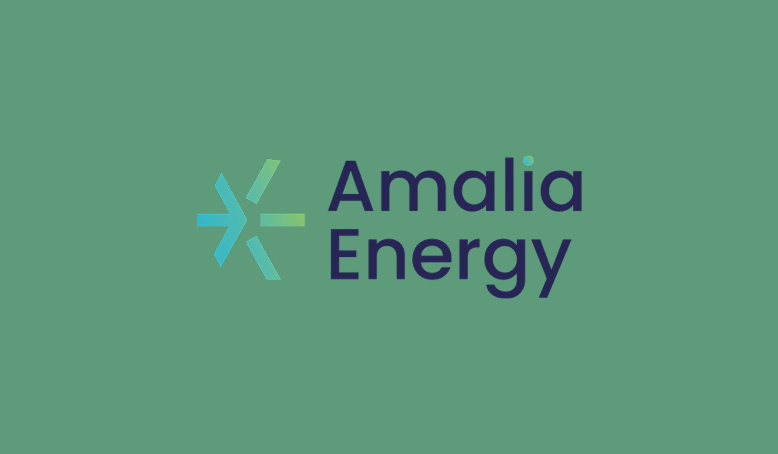 Amalia Energy — aperçu du site