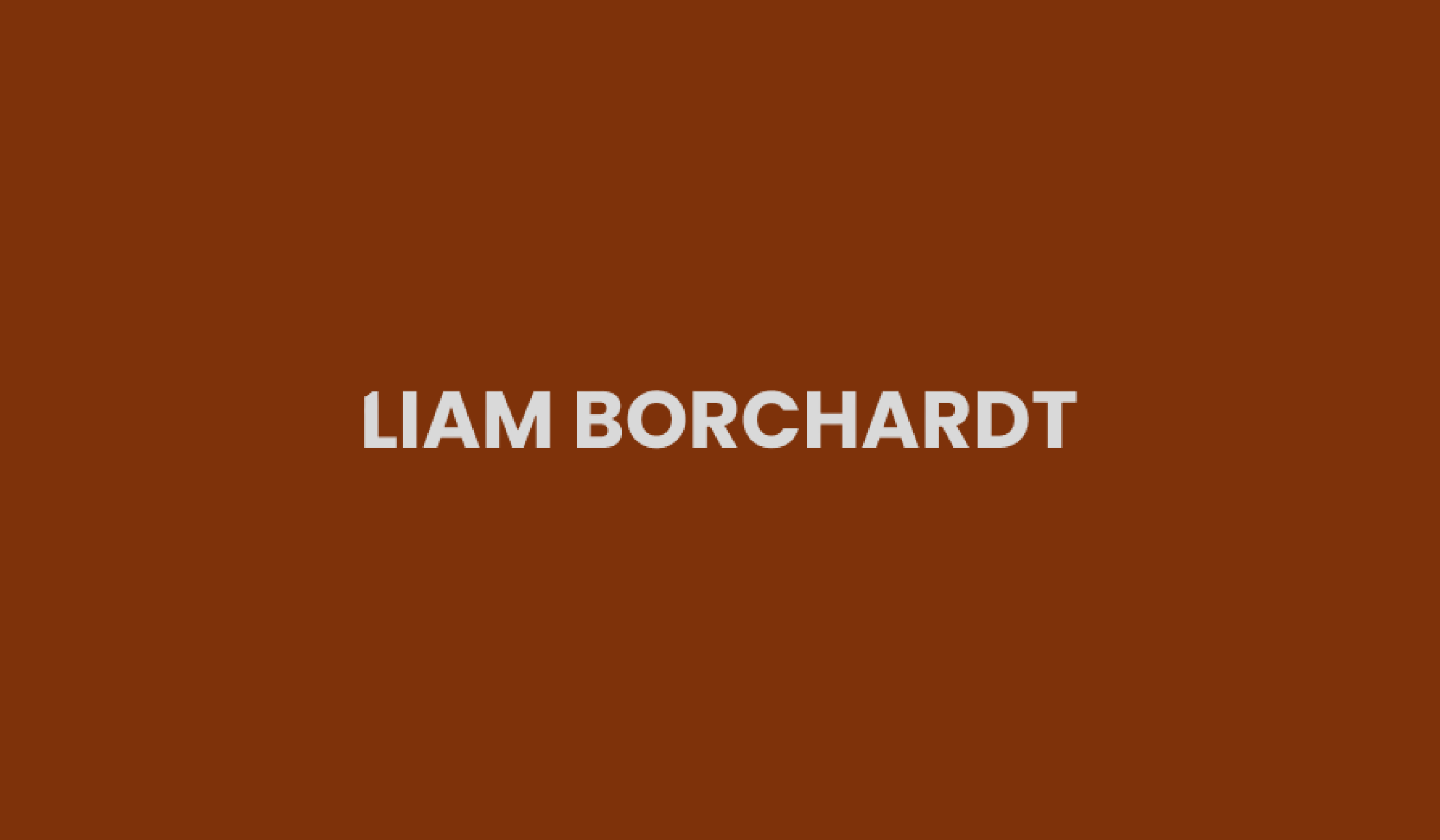Liam Borchardt — aperçu du site