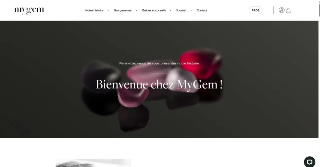 My Gem — page Notre histoire